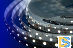Светодиодная лента DesignLed DSG360-12-W-33 000524