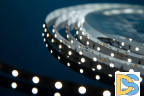 Светодиодная лента DesignLed DSG360-12-W-33 000524