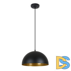 Подвесной светильник Arte Lamp Carmel A7077SP-1BK