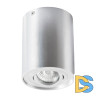 Потолочный светильник Arte Lamp A5644PL-1SI