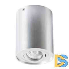 Потолочный светильник Arte Lamp A5644PL-1SI