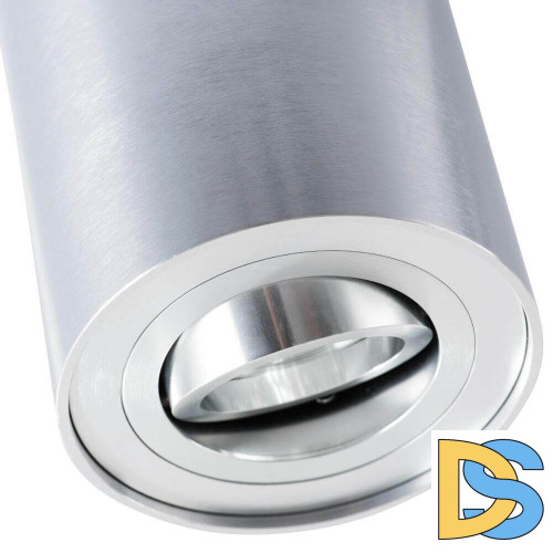 Потолочный светильник Arte Lamp A5644PL-1SI