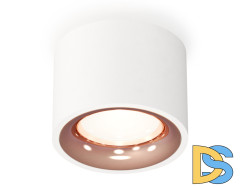 Потолочный светильник Ambrella Light Techno Spot XS7510025 (C7510, N7015)