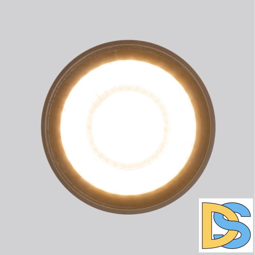 Уличный потолочный светильник Elektrostandard Light LED 4690389176975