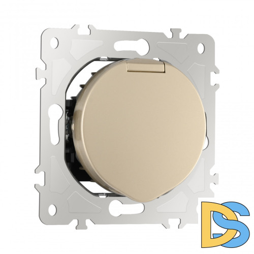 Розетка с заземлением, шторками и защитной крышкой Arte Milano 202.41-1.shampan