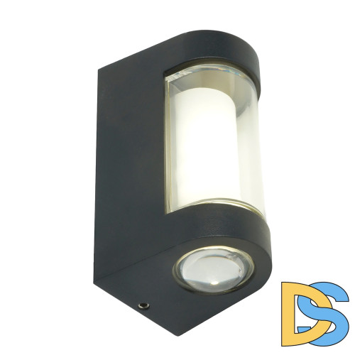 Уличный настенный светильник Feron Челси DH056 51494