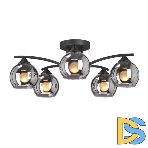 Потолочная люстра Vitaluce V4285-1/5PL