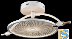 Потолочный светильник Wertmark Laura WE430.01.007