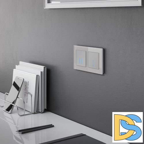 Сенсорный Выключатель двухклавишный Werkel с подсветкой 1000 Вт (серебряный) W4520006