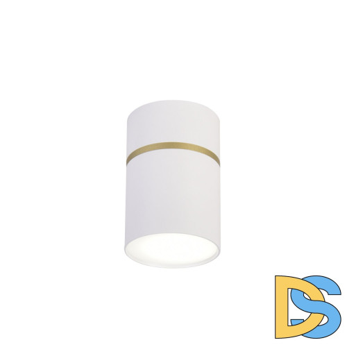 Накладной светильник Favourite Dunia 3067-1C