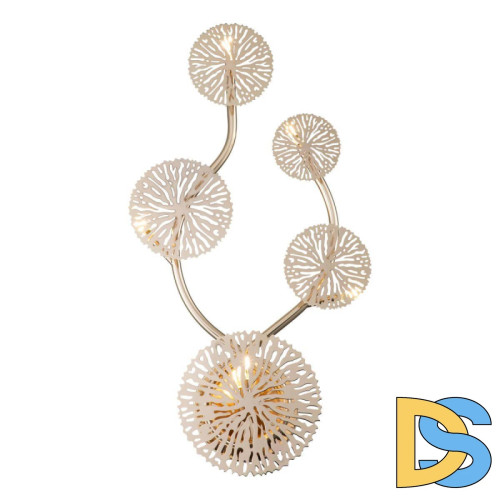 Настенный светильник Indigo Sole 12016/5W Gold V000009