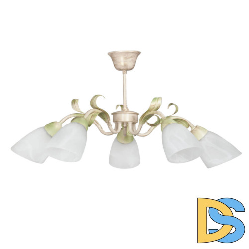 Потолочная люстра Vitaluce V1535/5PL