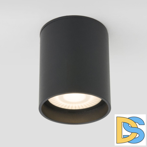 Уличный потолочный светильник Elektrostandard Light LED 4690389176968