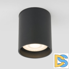 Уличный потолочный светильник Elektrostandard Light LED 4690389176968