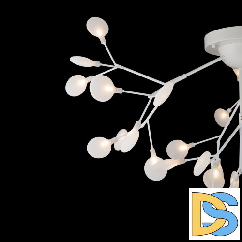 Потолочная люстра Freya Florencia FR5049CL-36W1