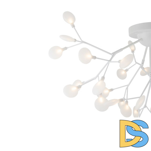 Потолочная люстра Freya Florencia FR5049CL-36W1