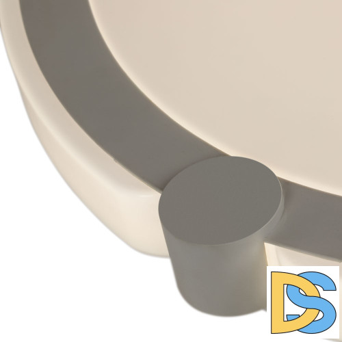 Потолочный светодиодный светильник Arte Lamp Biscotti A2679PL-72WH