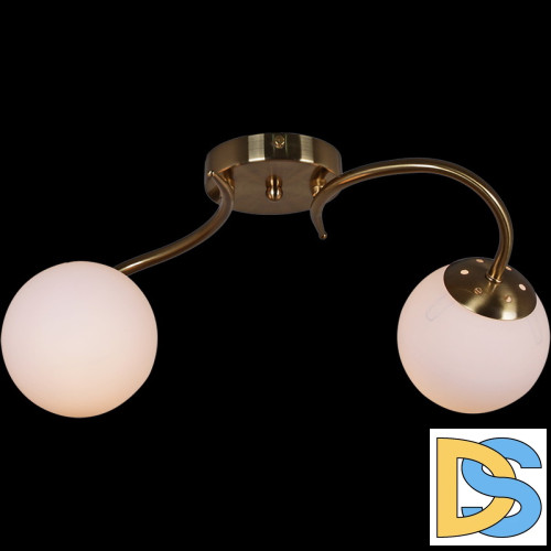 Потолочный светильник Reluce 81724-0.3-02