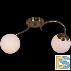 Потолочный светильник Reluce 81724-0.3-02