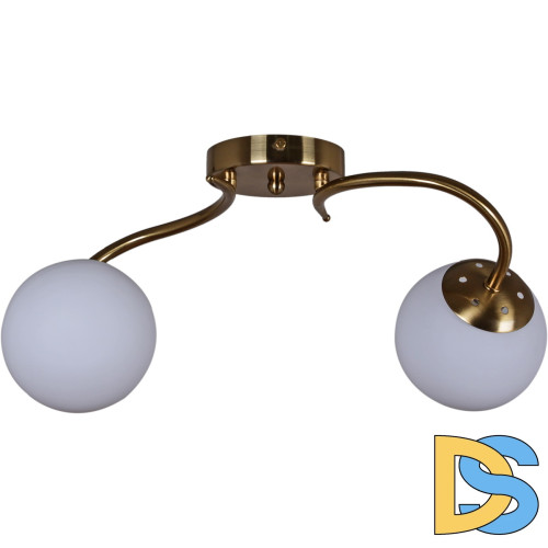 Потолочный светильник Reluce 81724-0.3-02