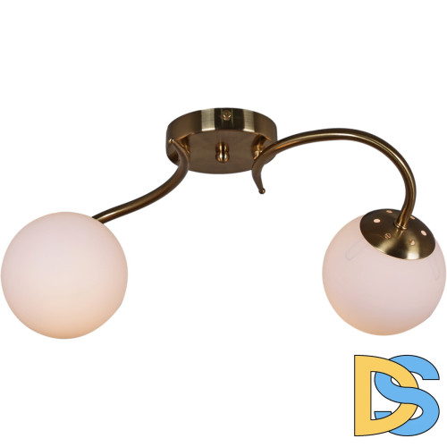 Потолочный светильник Reluce 81724-0.3-02