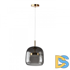 Подвесной светильник Loft IT Dauphin 10041A