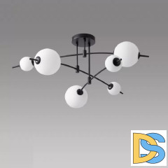 Потолочная люстра iLedex Epical 6827-6 BK+WH