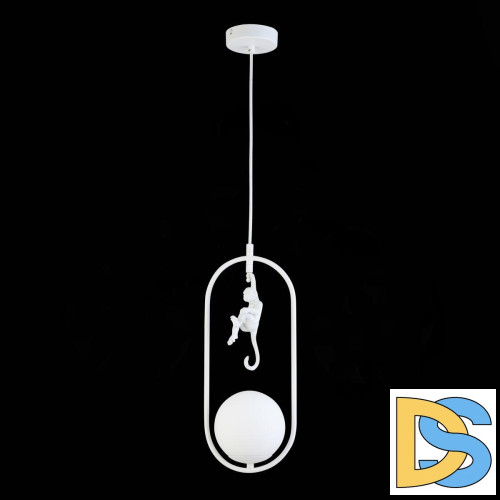 Подвесной светильник Evoluce Tenato SLE115123-01