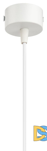 Подвесной светильник Эра PL19 WH Б0058491