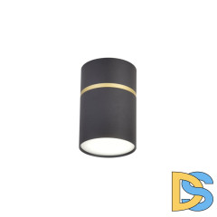 Накладной светильник Favourite Dunia 3068-1C