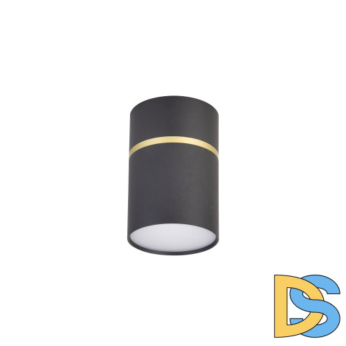 Накладной светильник Favourite Dunia 3068-1C