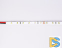 Светодиодная лента Ambrella Light LED Strip 24В 2835 6Вт/м 4500K 5м IP20 GS3002