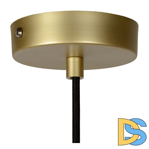 Подвесной светильник Lucide Cooper 10410/20/02