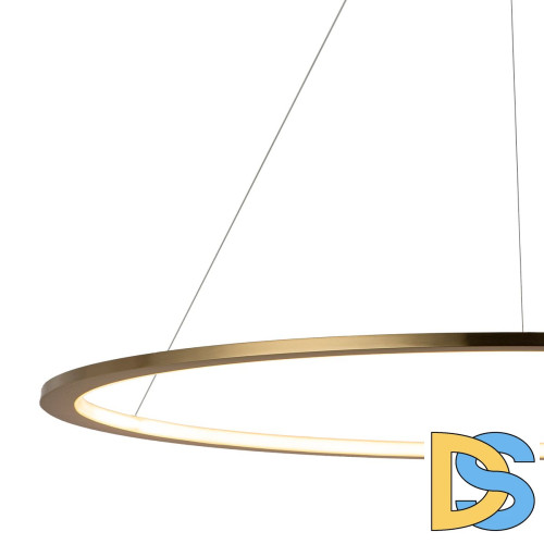 Подвесной светодиодный светильник Loft IT Ring 10014L