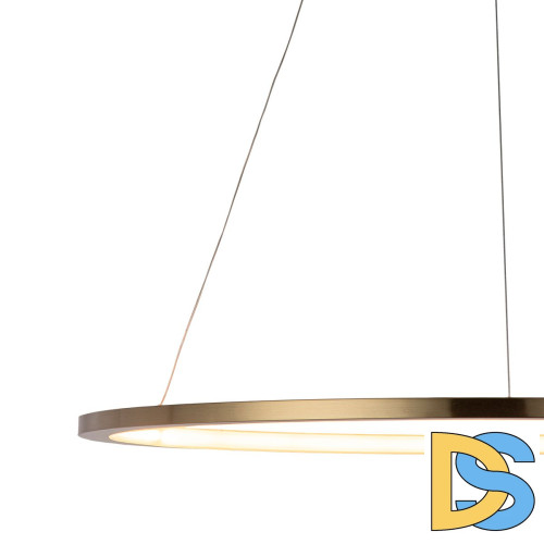 Подвесной светодиодный светильник Loft IT Ring 10014L