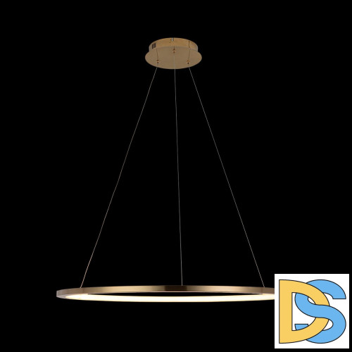 Подвесной светодиодный светильник Loft IT Ring 10014L