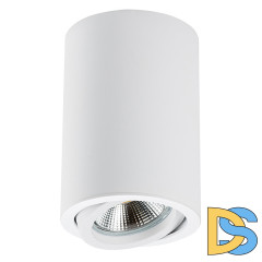 Накладной светильник Lightstar Rullo 214406