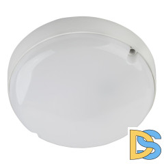 Настенно-потолочный светильник ЭРА SPB-201-0-65K-012 Б0047620