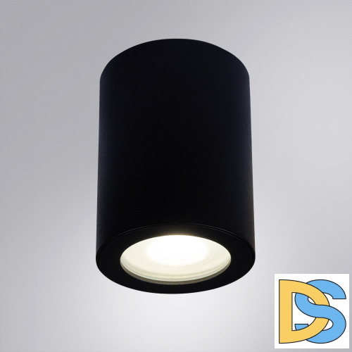 Накладной светильники Arte Lamp Tino A1468PL-1BK