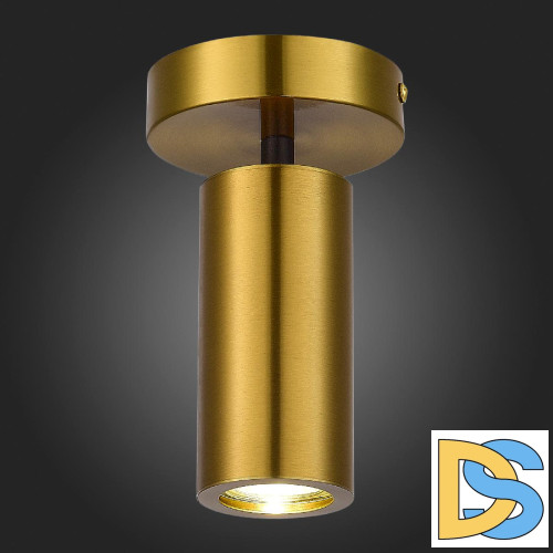 Потолочный светильник ST Luce Talia SL1215.402.01