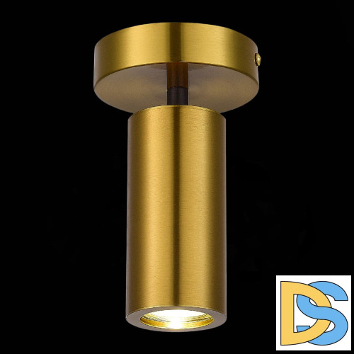 Потолочный светильник ST Luce Talia SL1215.402.01