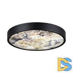 Настенно-потолочный светильник Odeon Light Bergi 5064/24L