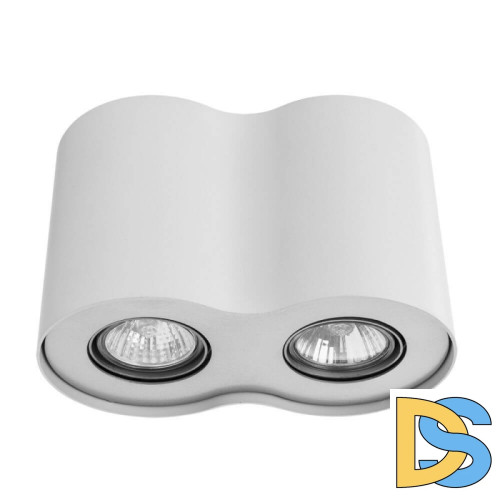 Потолочный светильник Arte Lamp Falcon A5633PL-2WH