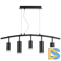 Подвесной светильник Lightstar Rullo LR7353738720 (571735+214437-3+214487-2+202430-5)