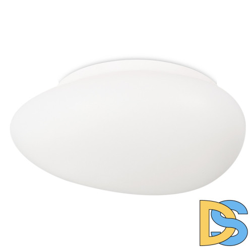 Потолочный светильник Simple Story 1205-LED12CL