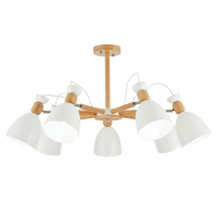 Потолочные светильники